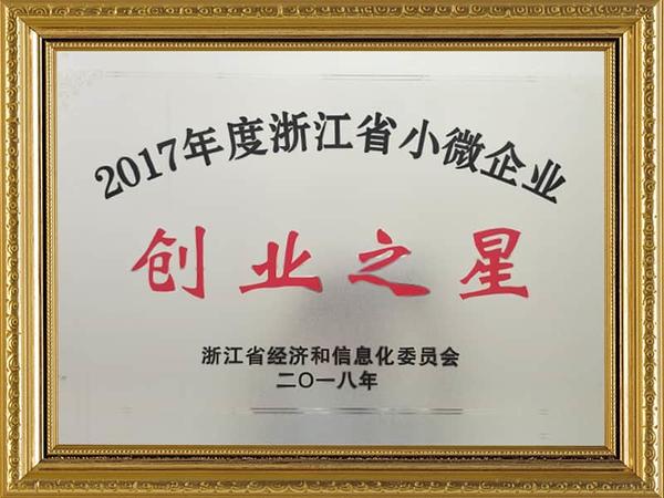 2017 Zhejiang Small and Micro Enterprise Entrepreneurship Star